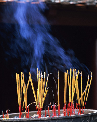 Krizantém: ha ezekre figyelsz, tele lesz virággal