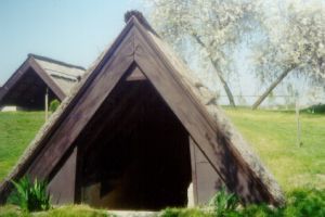 Aki másnak vermet ás-avagy amit a vermelésről tudni kell