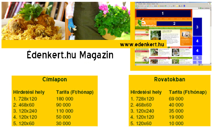 Krizantém: ha ezekre figyelsz, tele lesz virággal