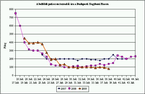 Pritamin bomba! - Piaci körkép