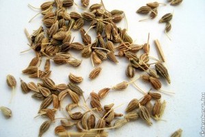 Mire jó az ánizs? Itt a lista!