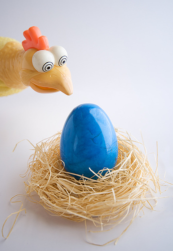 Krizantém: ha ezekre figyelsz, tele lesz virággal