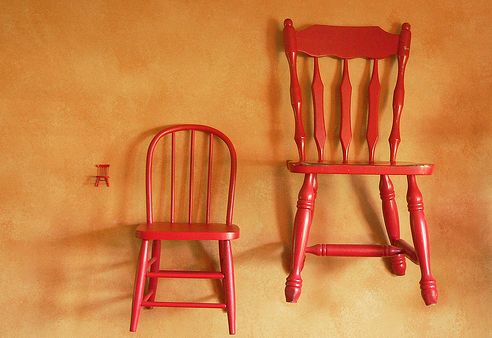 Krizantém: ha ezekre figyelsz, tele lesz virággal