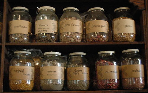 Krizantém: ha ezekre figyelsz, tele lesz virággal