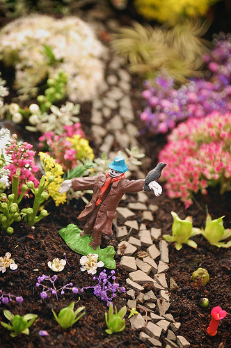 Krizantém: ha ezekre figyelsz, tele lesz virággal