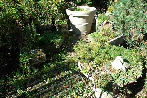 Hogyan tervezzünk hosszú, keskeny földterületre kertet?