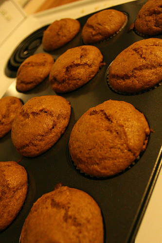 Krizantém: ha ezekre figyelsz, tele lesz virággal