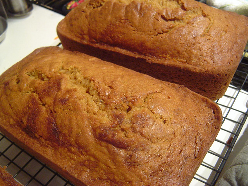 Krizantém: ha ezekre figyelsz, tele lesz virággal