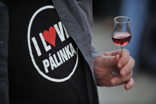 Itt még a csapból is pálinka folyik! - III. Budavári Pálinka- és Kolbászfesztivál