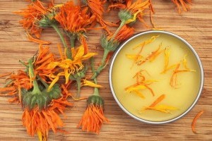 Így készítsünk házilag körömvirág krémet