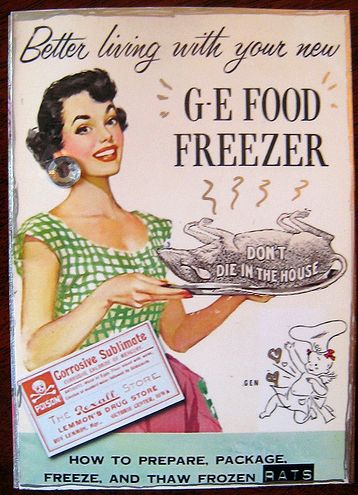 Krizantém: ha ezekre figyelsz, tele lesz virággal