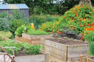 Így készítsünk magaságyat kertünkbe!