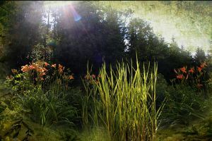 Harry Potter mágikus növényei a mi otthonunkban is!