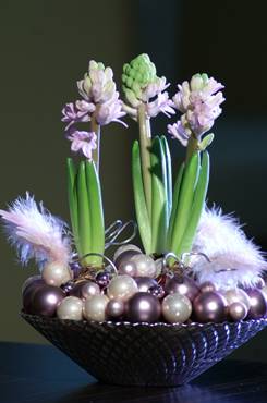 Krizantém: ha ezekre figyelsz, tele lesz virággal