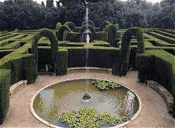 Krizantém: ha ezekre figyelsz, tele lesz virággal