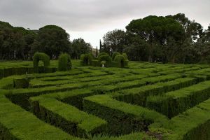 Labirintusok és sövényútvesztők