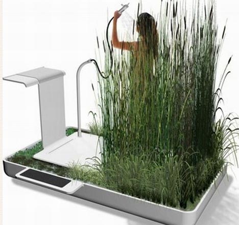 Krizantém: ha ezekre figyelsz, tele lesz virággal