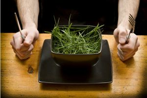 Krizantém: ha ezekre figyelsz, tele lesz virággal