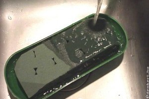 Szaporítsunk növényt tűzőhabbal!