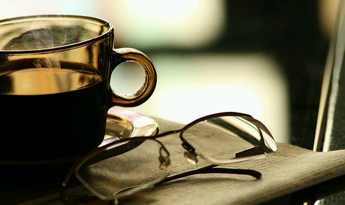 Krizantém: ha ezekre figyelsz, tele lesz virággal