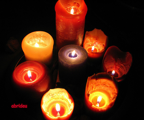 Krizantém: ha ezekre figyelsz, tele lesz virággal