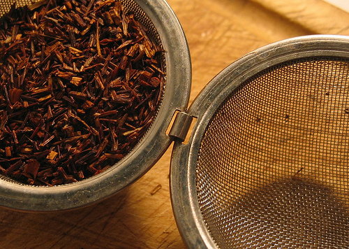 Krizantém: ha ezekre figyelsz, tele lesz virággal