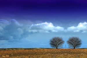 Érdekes ikervizsgálat az öregedés okainak kiderítésére