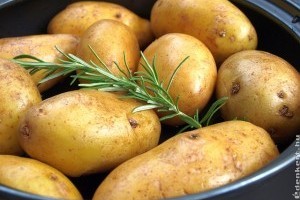 Rozmaring és burgonya együtt nyerő páros