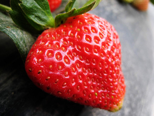 Gép fogja osztályozni az eperpalántákat?