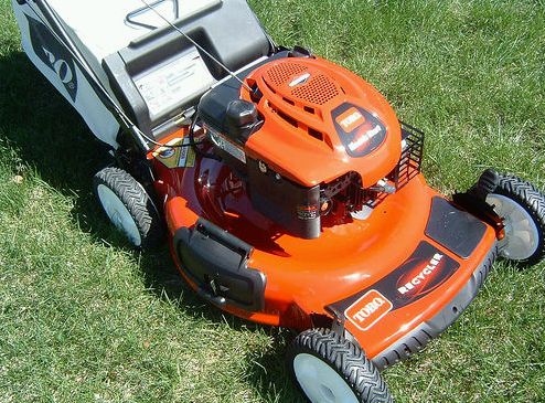 Krizantém: ha ezekre figyelsz, tele lesz virággal