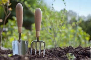 Készítsd fel kerted a tavaszra már februárban!