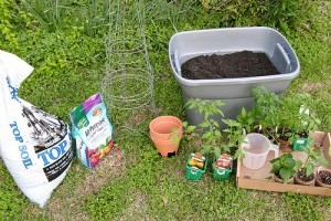 Miért jó a kén a növényeknek?