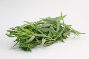 Amit a tárkonyról tudni kell