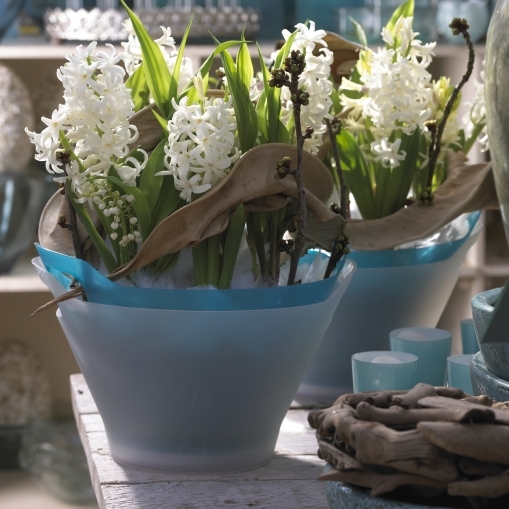 Krizantém: ha ezekre figyelsz, tele lesz virággal