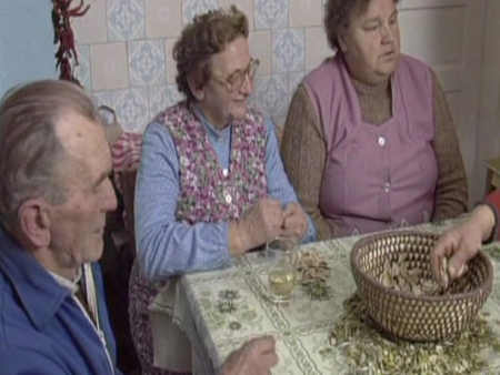 Krizantém: ha ezekre figyelsz, tele lesz virággal