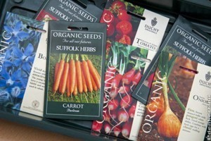 Hogyan ismerjük fel a hamis vetőmagot? Ezek az intő jelek