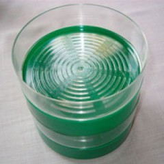 Krizantém: ha ezekre figyelsz, tele lesz virággal