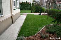 Krizantém: ha ezekre figyelsz, tele lesz virággal