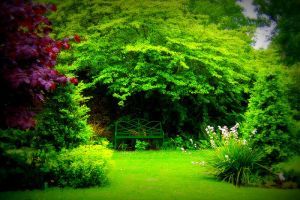 Egy XIX. századi kert kialakítása