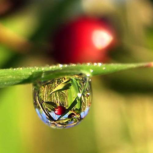 Mikor nem jó a sok antioxidáns a szervezetünknek?