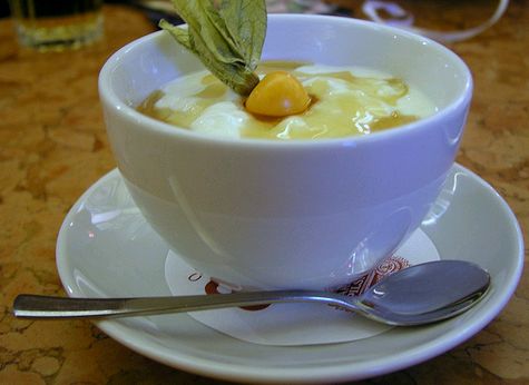 Krizantém: ha ezekre figyelsz, tele lesz virággal