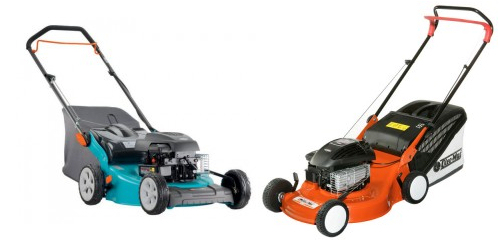 Krizantém: ha ezekre figyelsz, tele lesz virággal