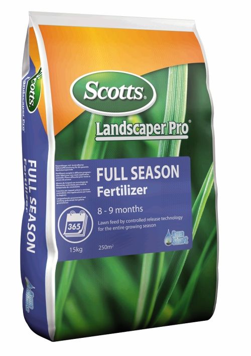 Krizantém: ha ezekre figyelsz, tele lesz virággal