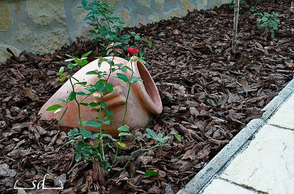 Egy nyári kertépítés története