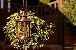 Egy téli kertépítés története