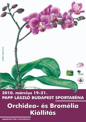 A világ legszebb orchideái