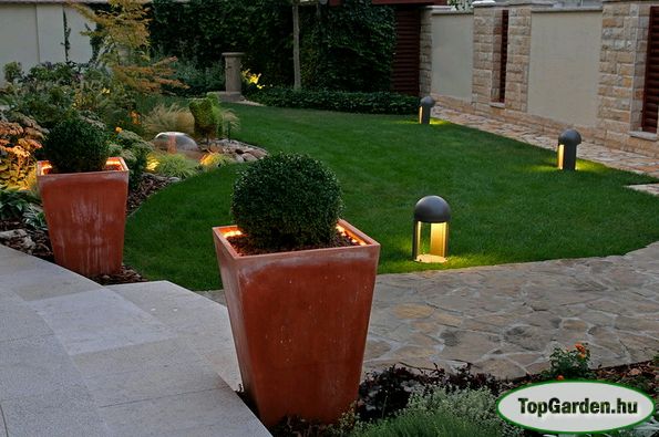 Krizantém: ha ezekre figyelsz, tele lesz virággal