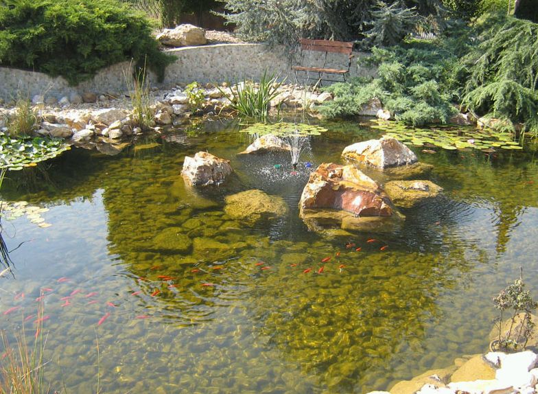 Krizantém: ha ezekre figyelsz, tele lesz virággal