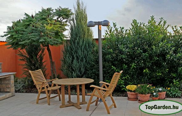 Krizantém: ha ezekre figyelsz, tele lesz virággal