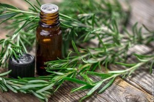 Hogyan készítsünk rozmaringsampont?